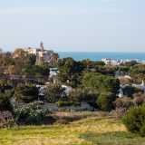 Il cammino non � facile, ma una volta arrivati su lo splendido panorama ripaga il nostro sforzo. Sulla sinistra si staglia l�antica Abbazia di San Vito...